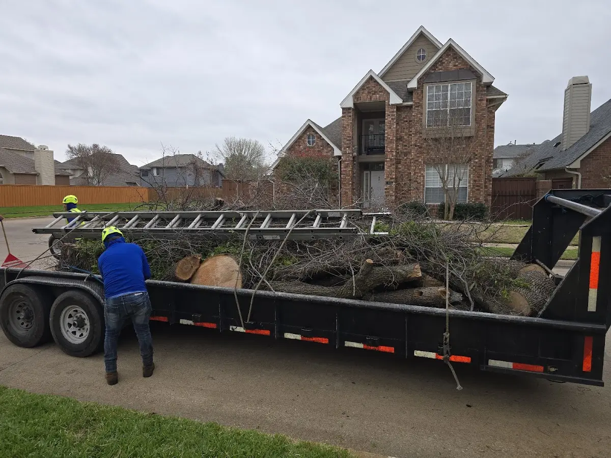 Expert Lot Clearing with proper safety equipment in Lakeview
